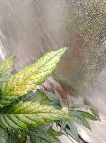 Compress_20240606_193725_5034