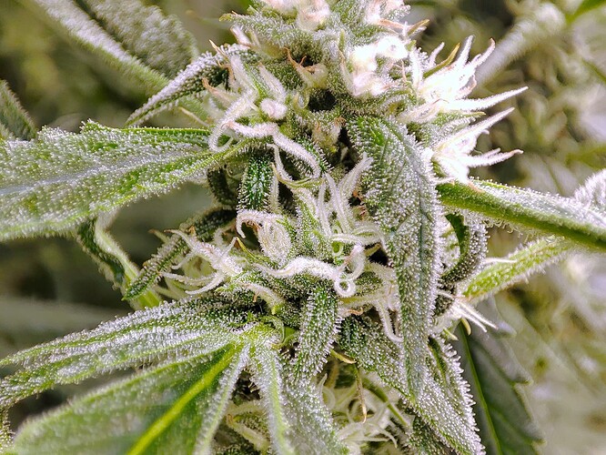 Growreport Bild 19
