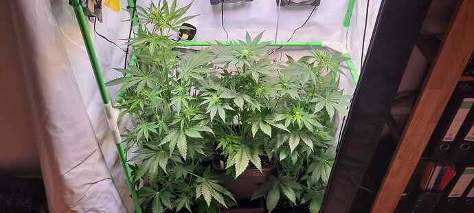Growreport Bild 7