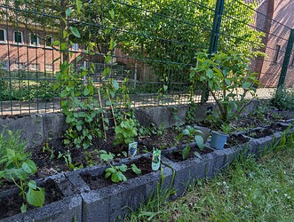 PXL_20250509_143434410