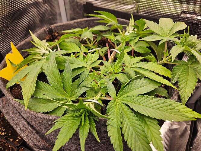 Growreport Bild 17