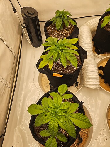Growreport Bild 18