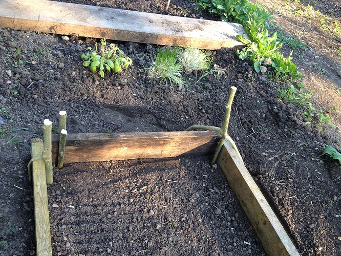 Growreport Bild 5