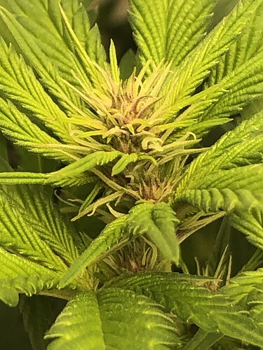Growreport Bild 2
