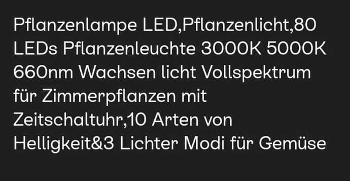 Licht ebay