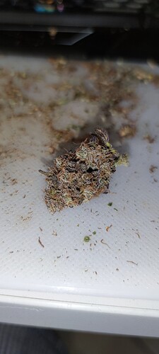 IMG_20250710_210245