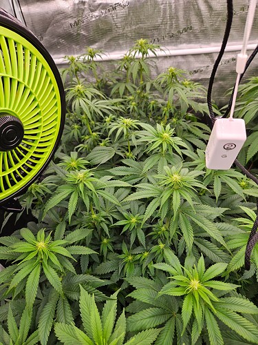 Growreport Bild 13