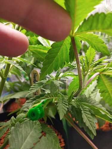 Growreport Bild 21