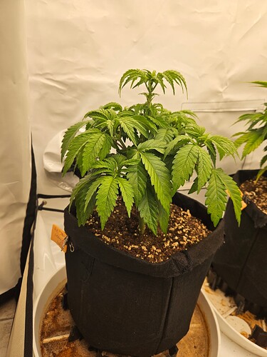 Growreport Bild 21