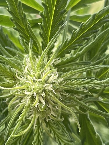 Growreport Bild 23