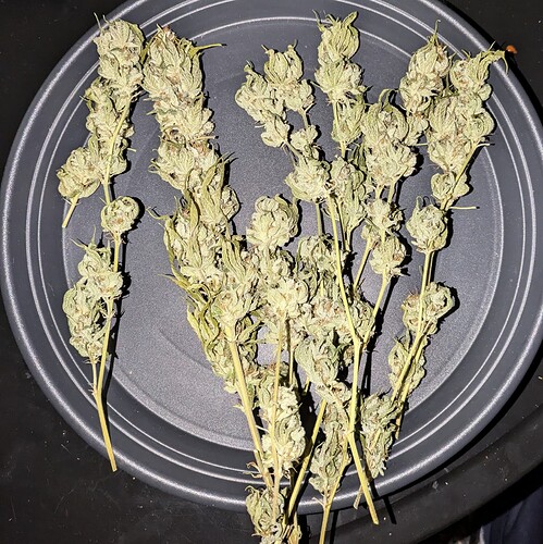 Growreport Bild 14