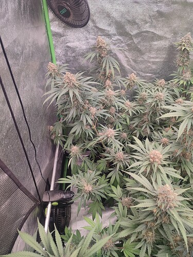 Growreport Bild 20