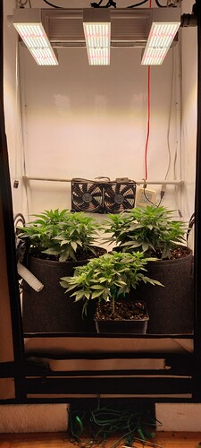 Growreport Bild 3