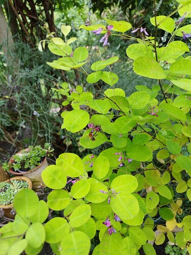 IMG_20240630_164600