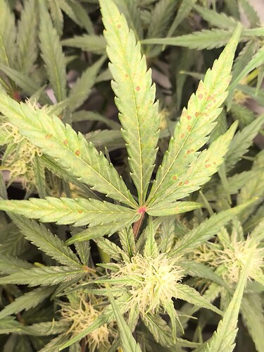 Growreport Bild 20