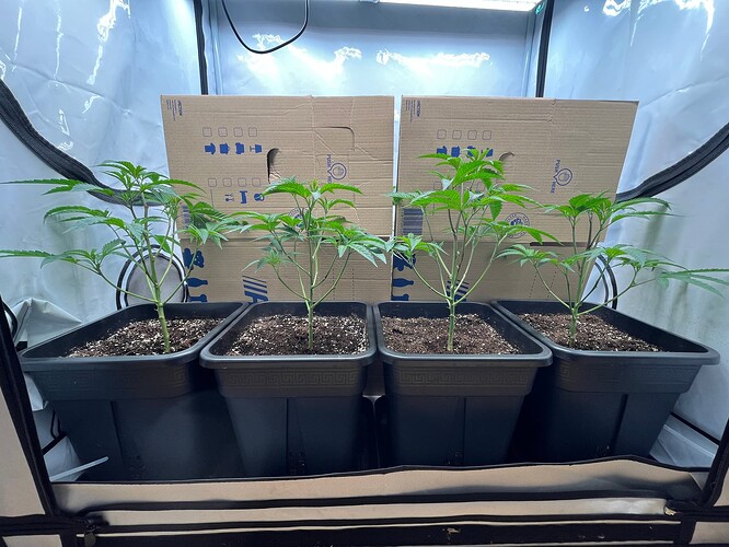 Growreport Bild 14
