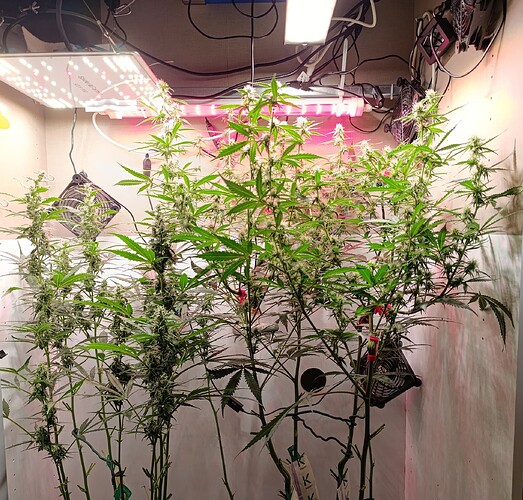 Growreport Bild 14