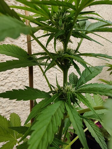 Growreport Bild 9