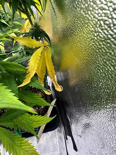 Growreport Bild 26