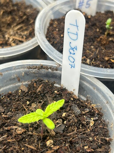 Growreport Bild 22