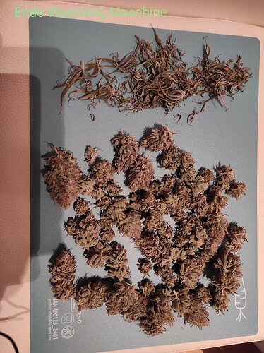 Growreport Bild 6