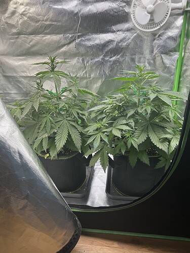 Growreport Bild 11