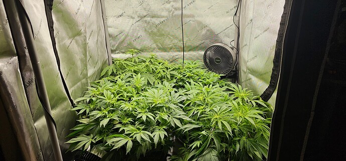 Growreport Bild 13