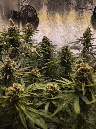 Growreport Bild 12