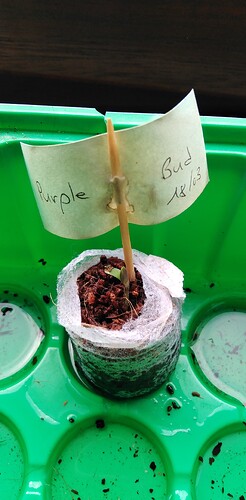 174281463284358882327042277710