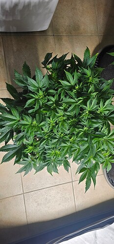 Growreport Bild 11