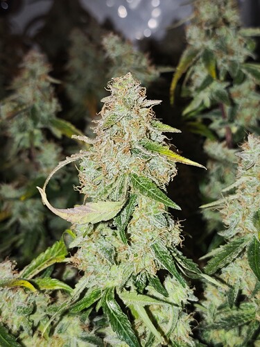 MVIMG_20251128_150148