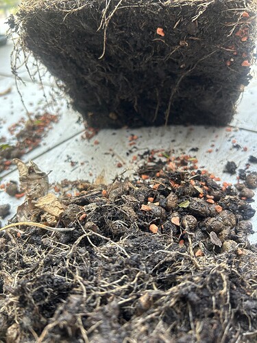 Growreport Bild 57