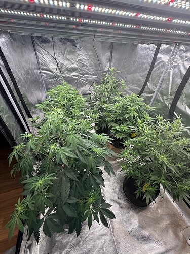 Growreport Bild 2