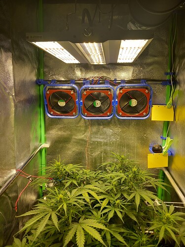 Growreport Bild 7