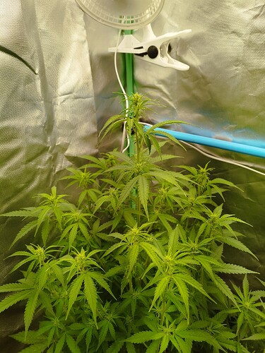 Growreport Bild 19
