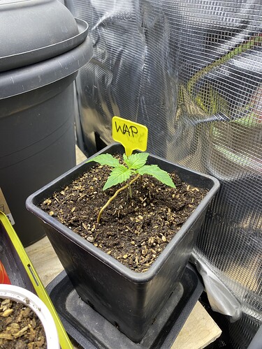 Growreport Bild 11