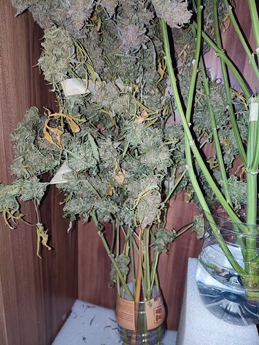 Growreport Bild 4