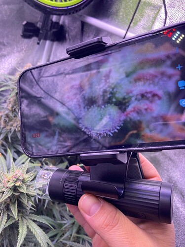Growreport Bild 19