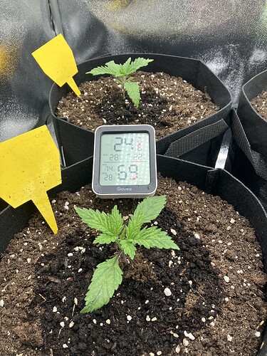 Growreport Bild 1