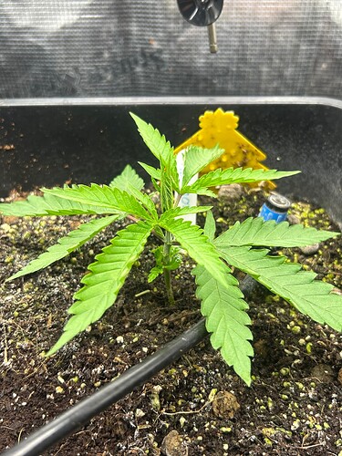 Growreport Bild 18