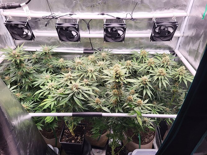 Growreport Bild 1