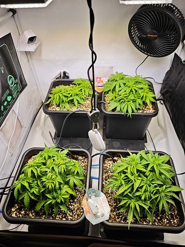 MVIMG_20251013_172626