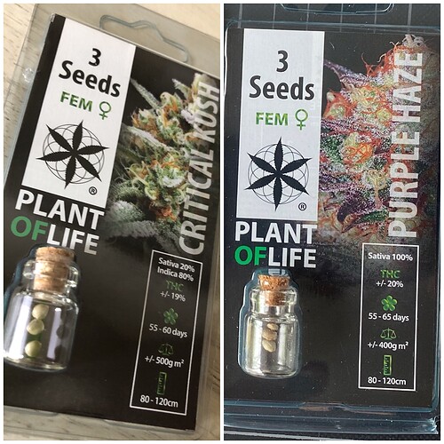 Growreport Bild 2