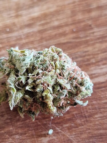 Growreport Bild 12