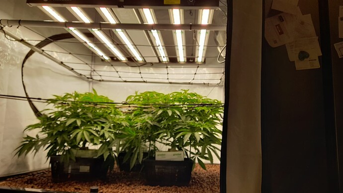 Growreport Bild 17