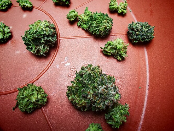 Growreport Bild 20