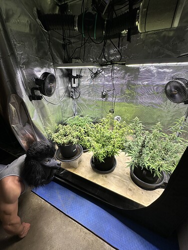 Growreport Bild 99