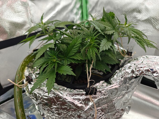 Growreport Bild 22