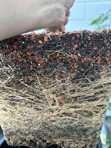 Growreport Bild 47