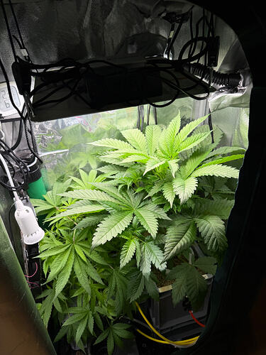 Growreport Bild 28